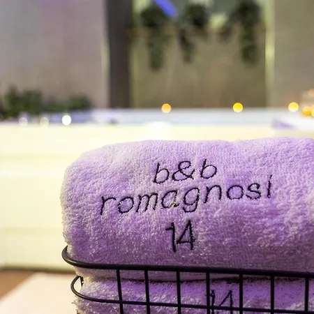 Romagnosi 14